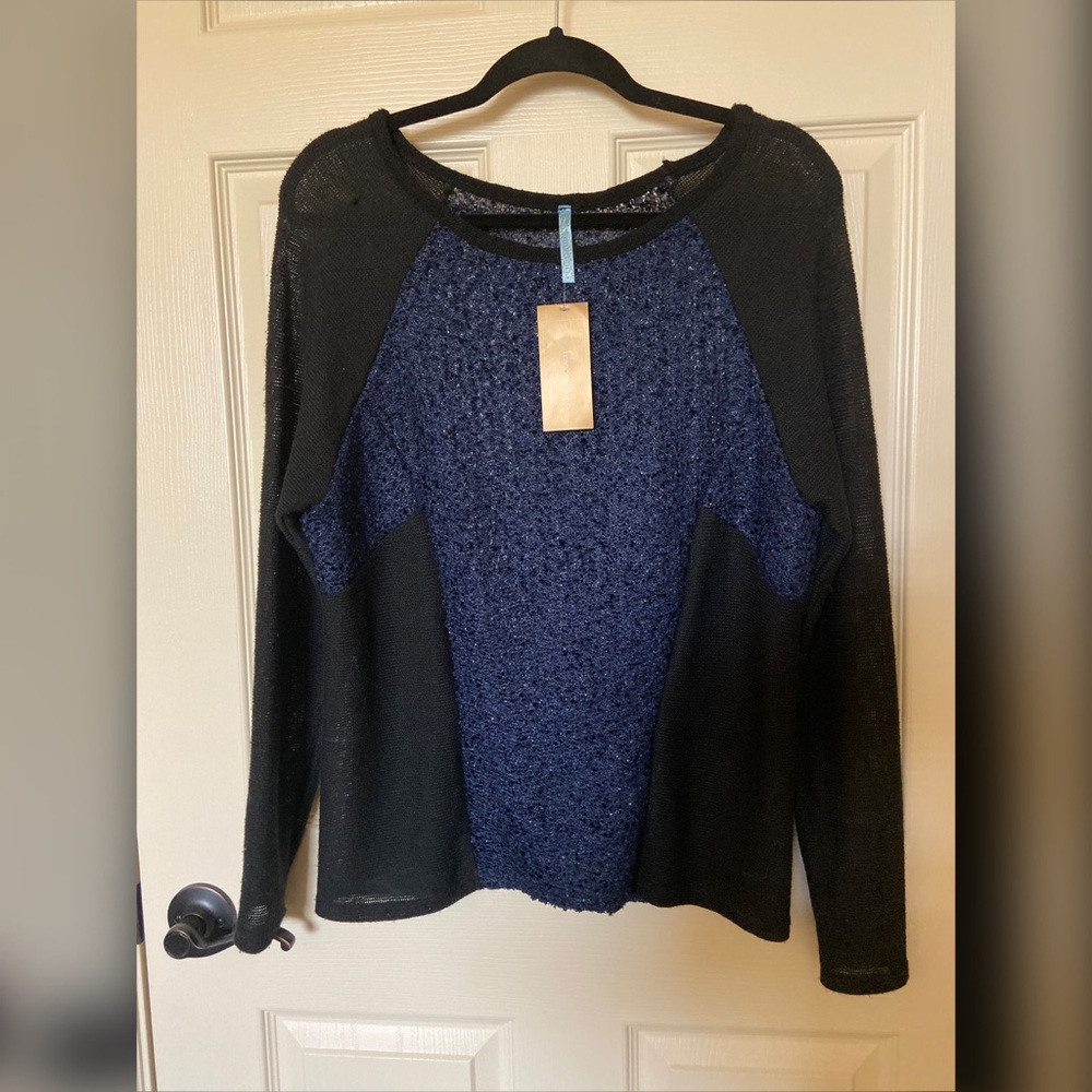 Francesca's Light Weight Color Blocked Sweater